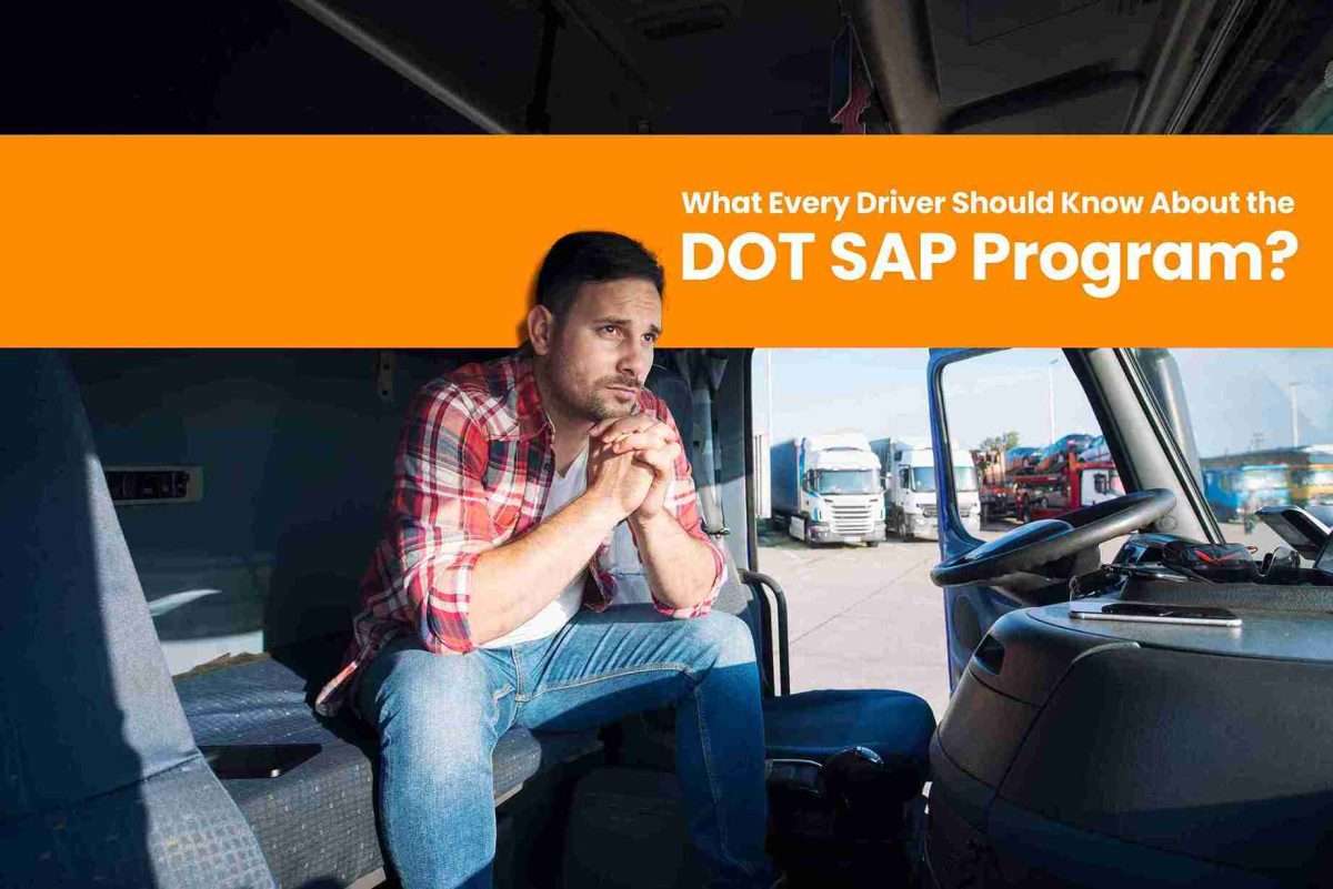 DOT SAP Program Online